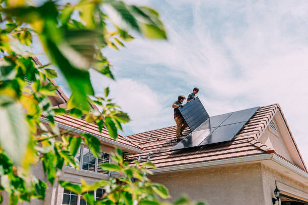 Best Roof Maintenance and Cleaning  in Mount Morris, IL