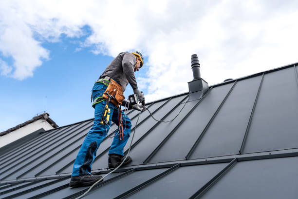 Steel Roofing in Mount Morris, IL